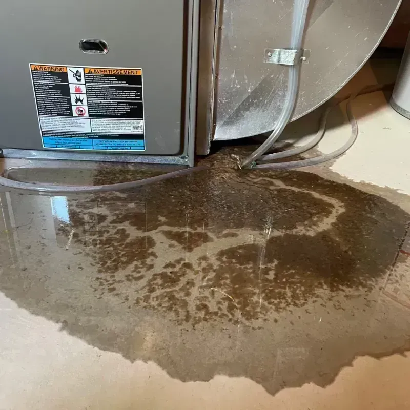 Appliance Leak Cleanup in Ricardo, TX